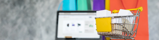 E-Commerce Product Development